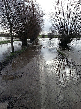 Weg Wichmannsdorf-Redewisch ist überflutet